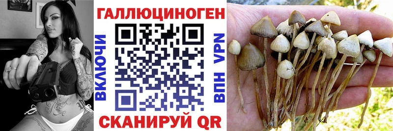 сколько стоит  Северобайкальск  MEGA онион  Галлюциногенные грибы Psilocybe 